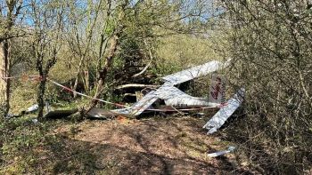 Mike's crashed plane in a wooded area